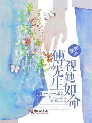 一人一城,傅先生视她如命