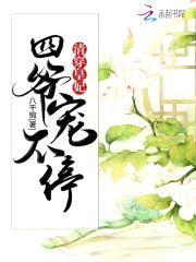 清穿皇妃:四爷,宠不停