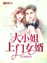 大小姐上门女婿