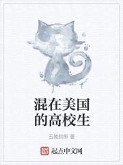 混在美国的高校生