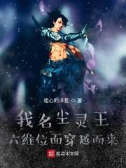 我名尘灵王，六维位面穿越而来