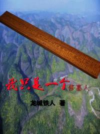 我只是一个修墓人