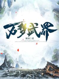 万梦武界