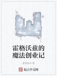 霍格沃兹的魔法创业记