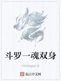 斗罗一魂双身