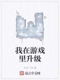 我在游戏里升级